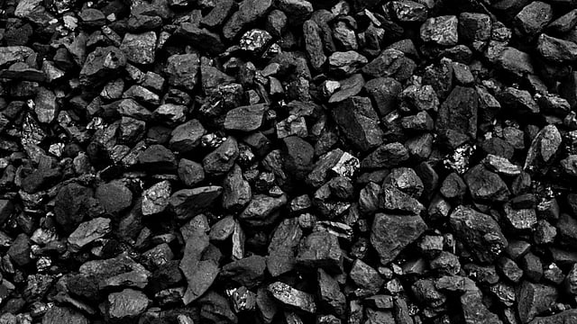 Coal India's Contribution to Government Exchequer Drops 5% to Rs 5,833 Crore in March     