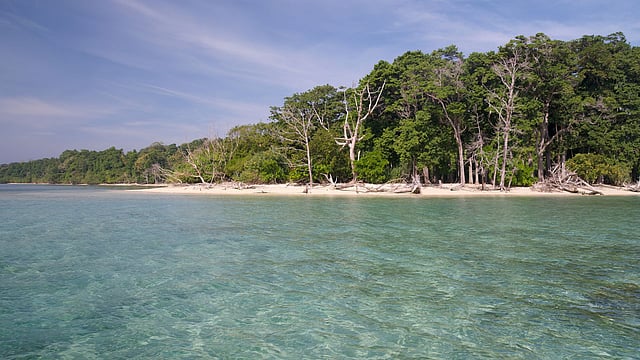 Can India’s ‘Hong Kong’-Style Project on Great Nicobar Island Affect Tribal Livelihoods?