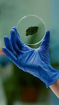 Japan Develops Revolutionary Plastic That Fully Dissolves in Saltwater