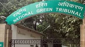 NGT Directs UP Government to Submit Sewage Management Plan for 2025 Mahakumbh Mela