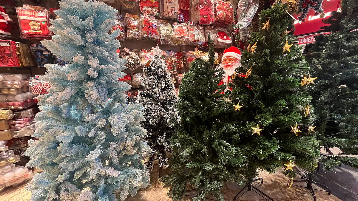 Artificial Christmas trees on display at a popular store in Delhi.
