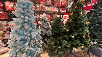 Artificial vs Organic: Time to Root for the Right Christmas Tree Artificial Christmas trees on display at a popular store in Delhi.