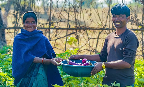 Free Ration Policy for 80 Crore Needs Periodic Evaluation, Says The/Nudge Institute