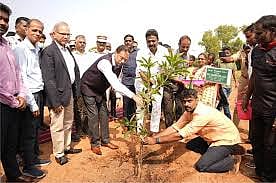 Pondicherry University Launches Tree Plantation Drive to Restore Green Cover Lost in Cyclone Fengal