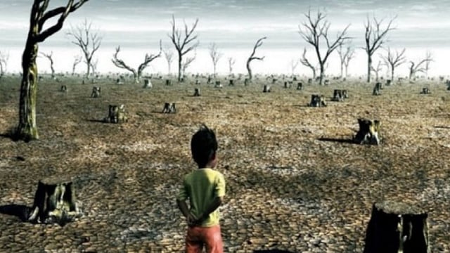 Armed Conflict, Climate Change Top Global Risk List: What's India's Agenda for WEF 2025