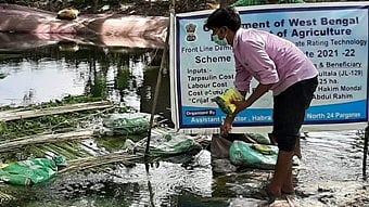 Govt Increases MSP on Jute by Rs 315 Amid Subdued Demand in Sector