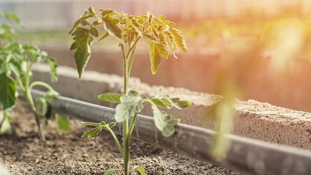 How Climate Change Could Quadruple Nitrogen Pollution by 2100, Key Actions to Improve
