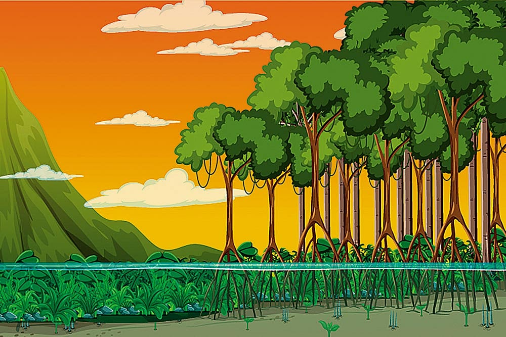 A $1Trn Carbon Credit Bazaar Will Emerge By 2030