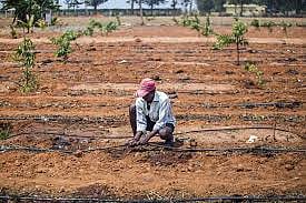 Rural Growth Surges in FMCG Sector in Dec qtr, Outpaces Urban Market for Fourth Consecutive Quarter