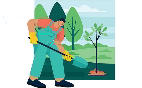 DEI initiatives enhance sustainability and success