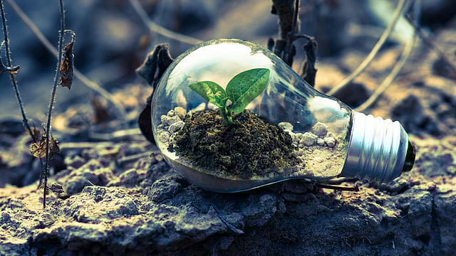 India Faces Heat as Only 11% of Countries Submit Updated Climate Targets Ahead of COP30