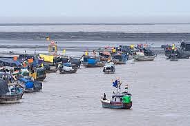India's Fishery Sector Loses $2.2 Billion Annually Due to Wastewater Contamination: Study