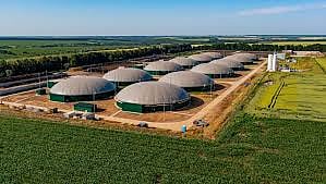 Gruner Renewable Energy Forays Into Agritech Space