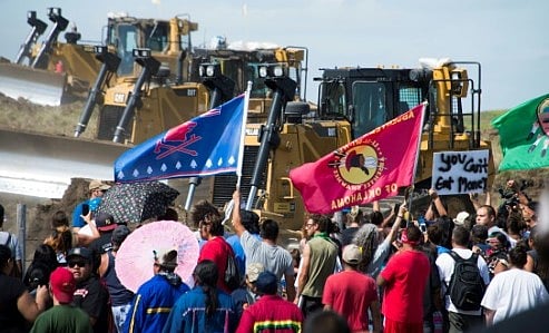 Greenpeace Ordered to Pay $660M in Defamation Case: Will the Environmental Group Appeal?