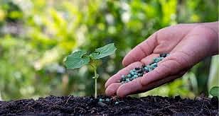 India Imports 8.47 Lakh Tons of DAP Fertiliser from China by Feb