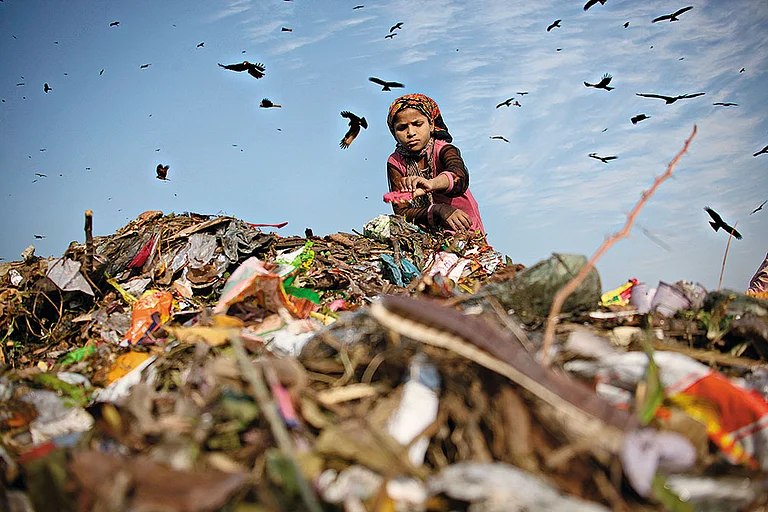 A ragpicker at a Delhi landfill - Photo: Shutterstock