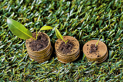 Transparency in climate action