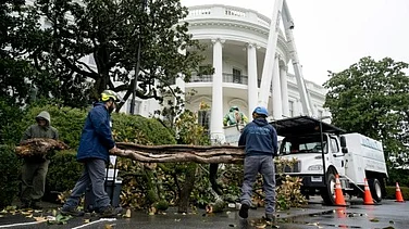 Trump Plants 'MAGAnolia' to Replace 200-Year-Old Tree