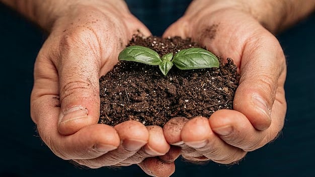 How India is Turning to Biostimulants for Sustainable Growth