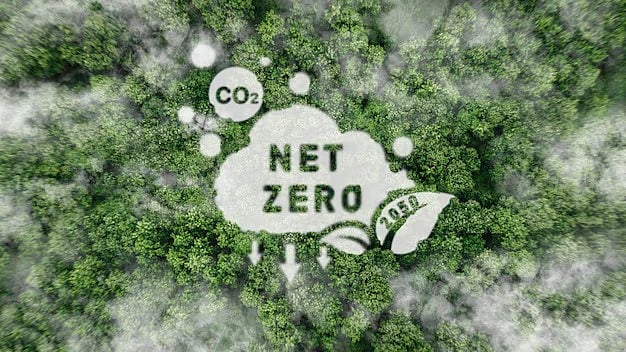 Why Businesses Must Act Now to Meet Approaching Net-Zero Deadlines