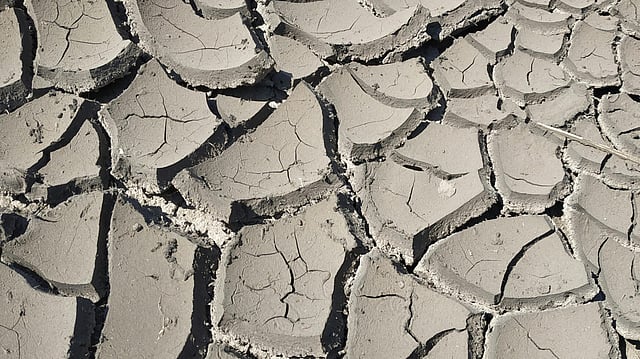 How Toxic Metal Pollution Threatens Global Food Security