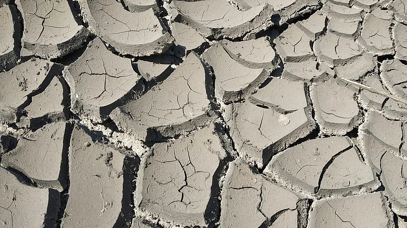 Photo by Hippo Hippo