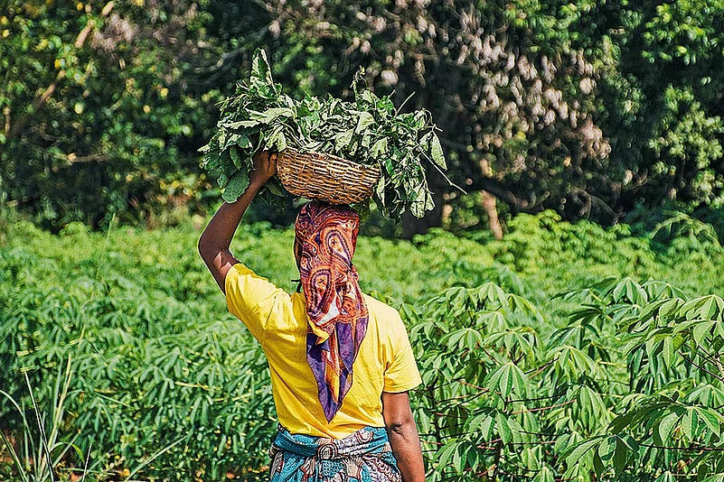Assam makes womens welfare a priority