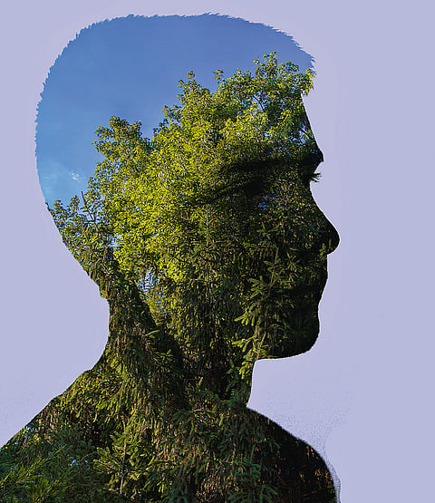 Climate trauma among youngsters is on the rise