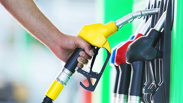 India Could Grow at 6.5% in FY26; Falling Crude Prices to Support Growth: EY