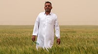 Iraqi farmer Hadi Saheb says he is cultivating 20 times  more land than before in the Najaf desert thanks to groundwater and a government initiative.