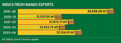 India's mango exports