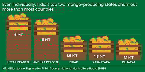 Top mango-producing states