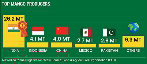 Top mango producers