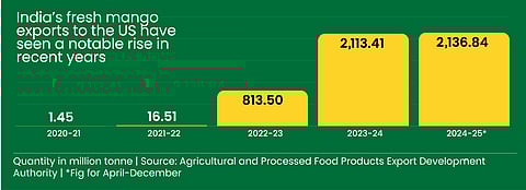 Rise in mango exports