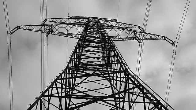 Power Grid Shares in Focus after Margins Shrink and Profit Slips in Q4