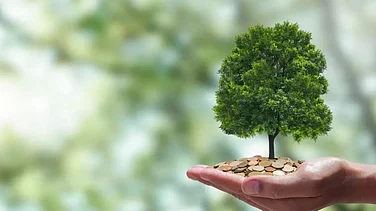 Whether it’s Finance, Technology, or Inclusion, Nothing Works Unless the Farmer Clearly Sees “What’s in it for me?”