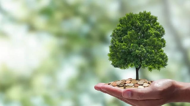 Will India’s New Draft Climate Rules Deliver the $2.5 Trillion It Needs?