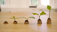 Swiss FMCG Major Nestle Says India Remains Key Growth Driver, Expects Double-Digit Growth Image by RoboAdvisor from Pixabay : Swiss FMCG Major Nestle Says India Remains Key Growth Driver, Expects Double-Digit Growth