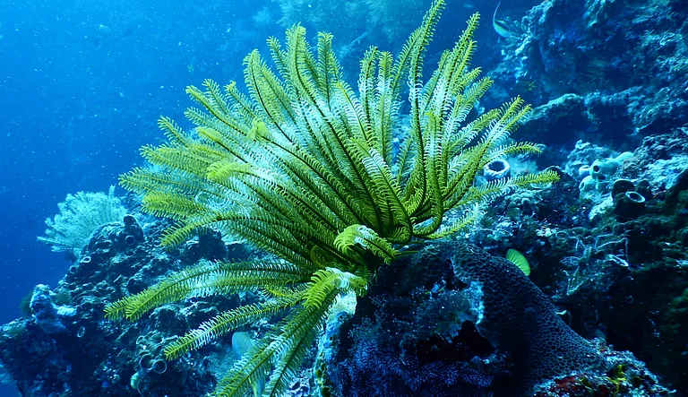 null - Photo by Tom Fisk