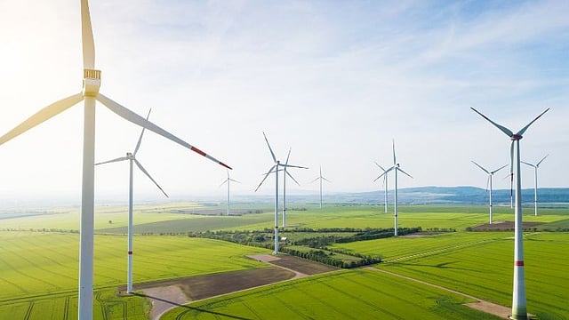 NTPC Green Energy Shares Power Up 11% on Stellar Q4 Earnings Show