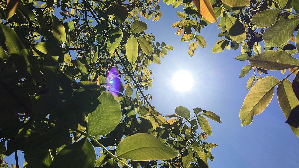 Image by AlbiF from Pixabay : Passive cooling strategies can help residents cope with rising temperatures.