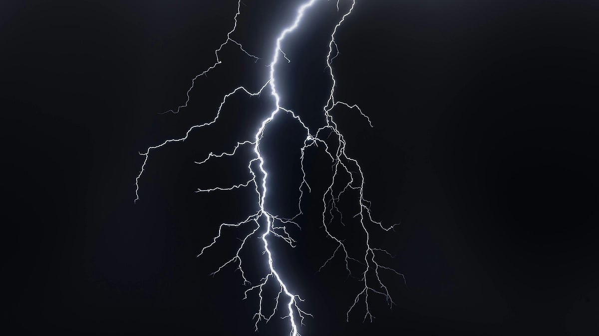 Photo by Philippe Donn : Parrots found dead under a Peepal tree in Jhansi’s Singhar village after a severe overnight storm.
