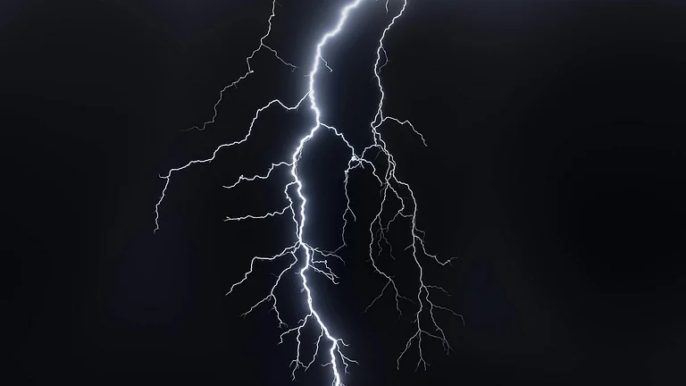Parrots found dead under a Peepal tree in Jhansi’s Singhar village after a severe overnight storm. - Photo by Philippe Donn