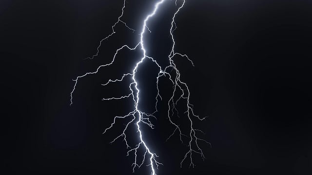 Storm Kills Over 70 Parrots in Jhansi Village, Climate Change Suspected