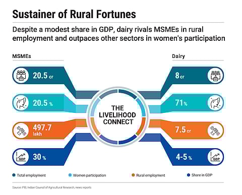 Dairy has a significant share of rural employment, especially women