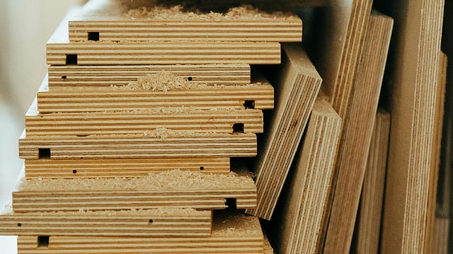 NGT Urges Environment Ministry to Regulate Plywood Industry Amid Unchecked Emissions