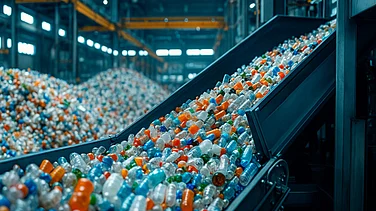 Why the Next Decade Belongs to Businesses That Pivot to Circularity