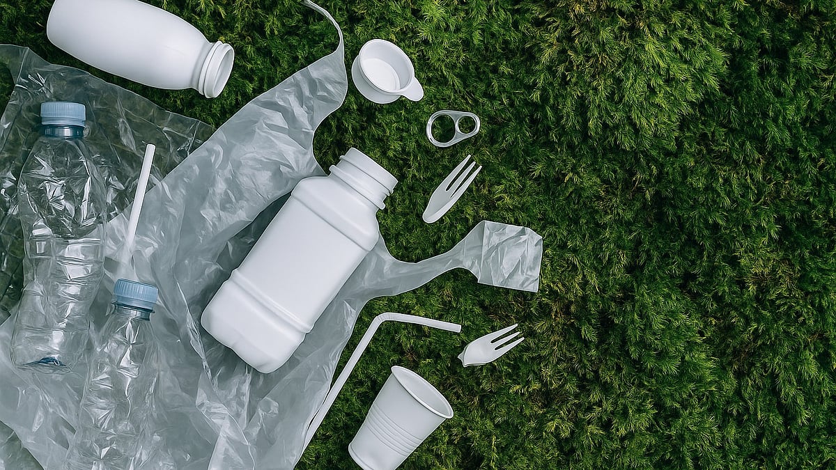 Plastic waste on vibrant moss highlights natures silent struggle against pollution.