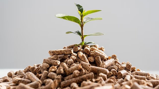 Fertiliser Stocks Rally Amid Global Policy Shifts and Monsoon Boost