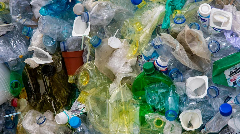 Plastic pollution is costing us our health, biodiversity and our capacity to withstand climate change - Pexels